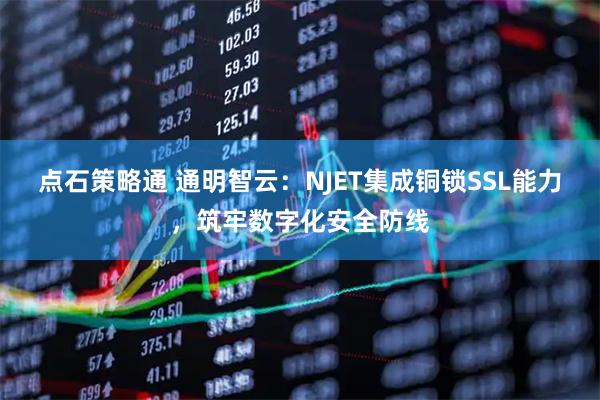 点石策略通 通明智云：NJET集成铜锁SSL能力，筑牢数字化安全防线