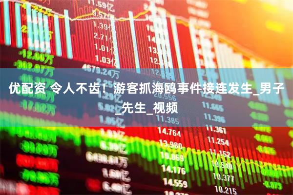 优配资 令人不齿！游客抓海鸥事件接连发生_男子_先生_视频