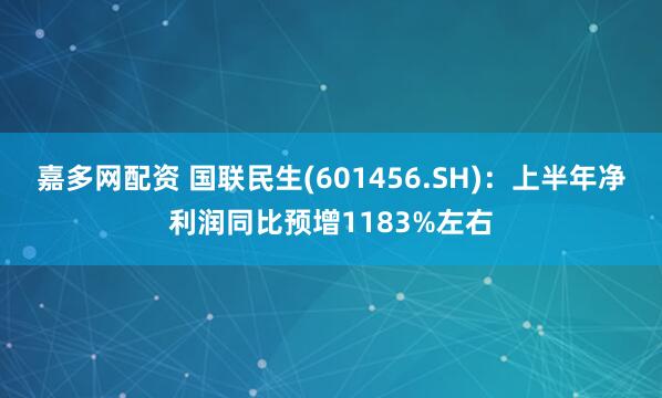 嘉多网配资 国联民生(601456.SH)：上半年净利润同比预增1183%左右