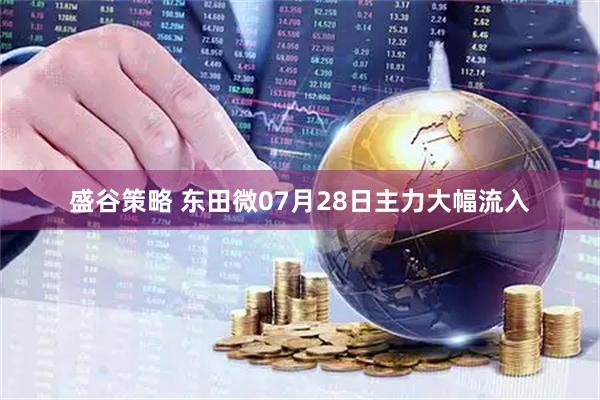 盛谷策略 东田微07月28日主力大幅流入