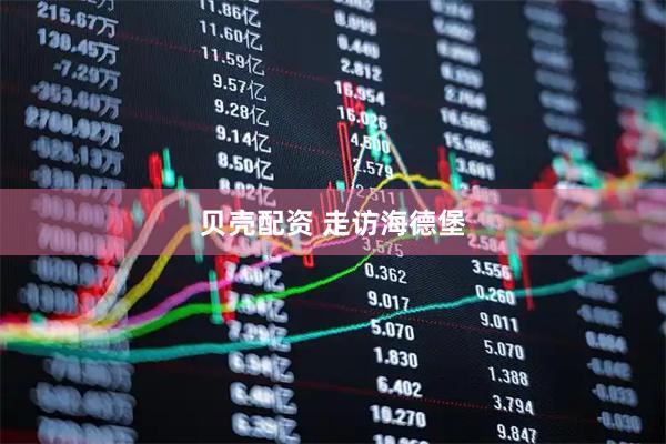 贝壳配资 走访海德堡