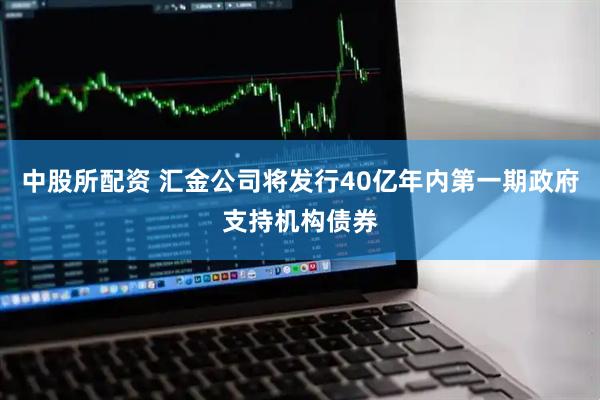 中股所配资 汇金公司将发行40亿年内第一期政府支持机构债券